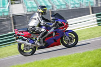 brands-hatch-photographs;brands-no-limits-trackday;cadwell-trackday-photographs;enduro-digital-images;event-digital-images;eventdigitalimages;no-limits-trackdays;peter-wileman-photography;racing-digital-images;trackday-digital-images;trackday-photos